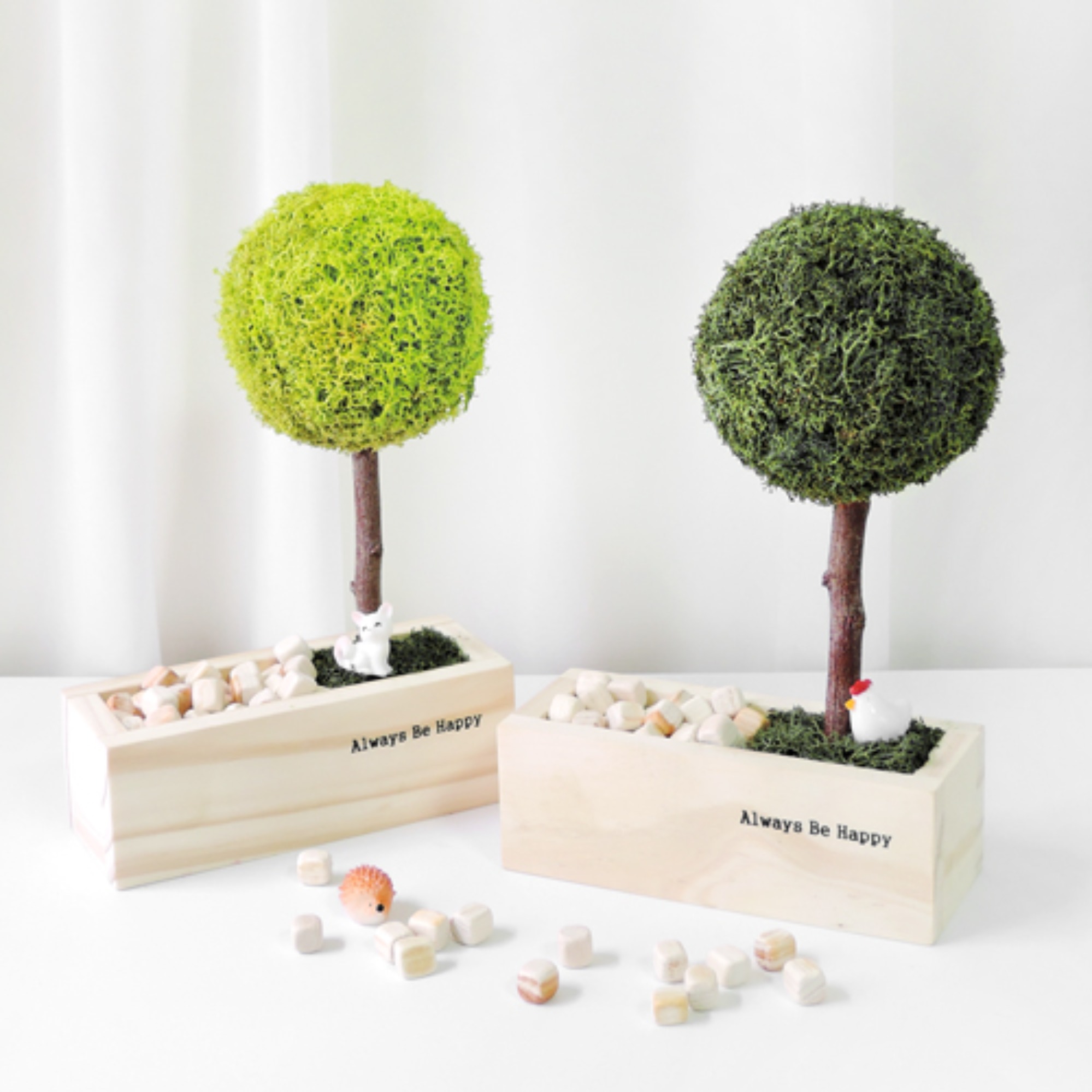 공기정화식물 스칸디아모스 편백나무 만들기 세트 12 colors